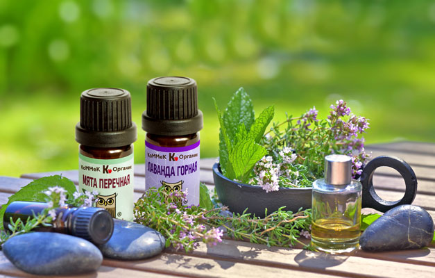 Описание изображения