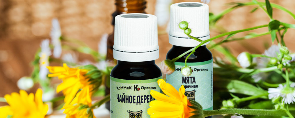 Описание изображения